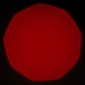 Venus Optics LAOWA Argus 25 mm f/0.95 MFT - Coma, astigmatism and bokeh