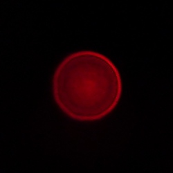 Tokina ATX-M 11-18 mm f/2.8 E - Chromatic and spherical aberration