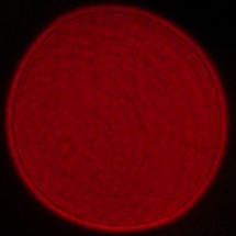 Sony FE 16-35 mm f/2.8 GM II - Coma, astigmatism and bokeh