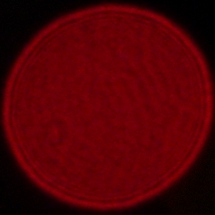 Sony FE 16-35 mm f/2.8 GM II - Coma, astigmatism and bokeh