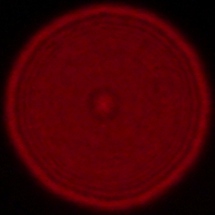 Sony FE 16-35 mm f/2.8 GM II - Coma, astigmatism and bokeh