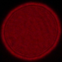 Sony FE 16-35 mm f/2.8 GM II - Coma, astigmatism and bokeh