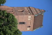 Nikon Nikkor Z 180-600 mm f/5.6-6.3 VR - Sample shots