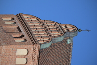 Nikon Nikkor Z 180-600 mm f/5.6-6.3 VR - Sample shots