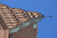 Nikon Nikkor Z 180-600 mm f/5.6-6.3 VR - Sample shots