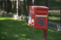 Nikon Nikkor Z 180-600 mm f/5.6-6.3 VR - Sample shots