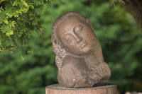 Nikon Nikkor Z 180-600 mm f/5.6-6.3 VR - Sample shots