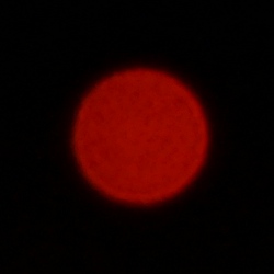 Tamron 90 mm f/2.8 Di III Macro VXD - Chromatic and spherical aberration