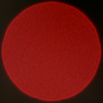 Tamron 90 mm f/2.8 Di III Macro VXD - Coma, astigmatism and bokeh