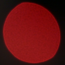 Tamron 90 mm f/2.8 Di III Macro VXD - Coma, astigmatism and bokeh