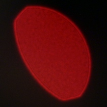 Tamron 90 mm f/2.8 Di III Macro VXD - Coma, astigmatism and bokeh