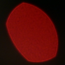 Tamron 90 mm f/2.8 Di III Macro VXD - Coma, astigmatism and bokeh