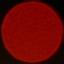 Tamron 90 mm f/2.8 Di III Macro VXD - Coma, astigmatism and bokeh