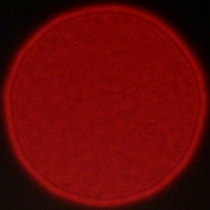 Tamron 90 mm f/2.8 Di III Macro VXD - Coma, astigmatism and bokeh