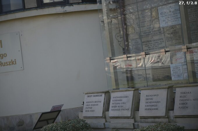 Tamron 90 mm f/2.8 Di III Macro VXD - Ghosting and flares