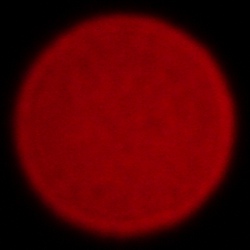 Sony FE 200-600 mm f/5.6-6.3 G OSS - Chromatic and spherical aberration