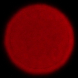 Sony FE 200-600 mm f/5.6-6.3 G OSS - Chromatic and spherical aberration