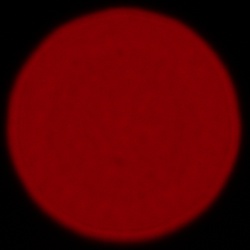 Sony FE 200-600 mm f/5.6-6.3 G OSS - Chromatic and spherical aberration