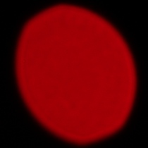 Sony FE 200-600 mm f/5.6-6.3 G OSS - Coma, astigmatism and bokeh