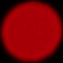 Sony FE 200-600 mm f/5.6-6.3 G OSS - Coma, astigmatism and bokeh