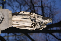 Nikon Nikkor Z 135 mm f/1.8 S Plena - Sample shots