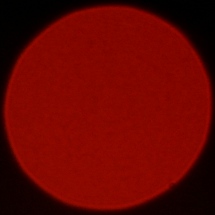 Nikon Nikkor Z 135 mm f/1.8 S Plena - Coma, astigmatism and bokeh