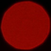 Nikon Nikkor Z 135 mm f/1.8 S Plena - Coma, astigmatism and bokeh