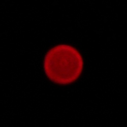 Viltrox AF 16 mm f/1.8 - Chromatic and spherical aberration