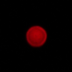 Viltrox AF 16 mm f/1.8 - Chromatic and spherical aberration