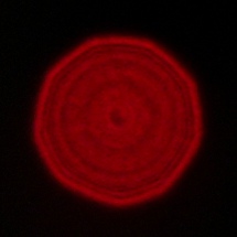 Viltrox AF 16 mm f/1.8 - Coma, astigmatism and bokeh