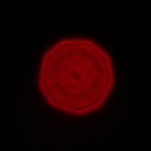 Viltrox AF 16 mm f/1.8 - Coma, astigmatism and bokeh