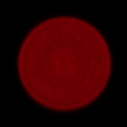 Sony FE 50-150 mm f/2 GM - Chromatic and spherical aberration