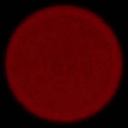 Sony FE 50-150 mm f/2 GM - Chromatic and spherical aberration