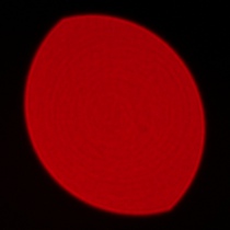 Sony FE 50-150 mm f/2 GM - Coma, astigmatism and bokeh