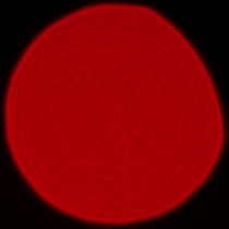 Sony FE 50-150 mm f/2 GM - Coma, astigmatism and bokeh