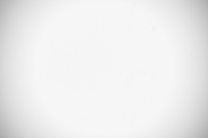 Nikon Nikkor Z MC 105 mm f/2.8 VR S - Vignetting