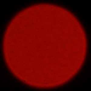 Nikon Nikkor Z 180-600 mm f/5.6-6.3 VR - Chromatic and spherical aberration