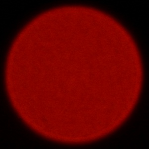 Nikon Nikkor Z 180-600 mm f/5.6-6.3 VR - Chromatic and spherical aberration