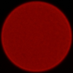 Nikon Nikkor Z 180-600 mm f/5.6-6.3 VR - Chromatic and spherical aberration