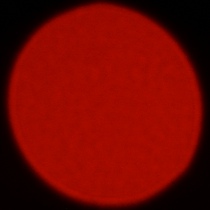 Nikon Nikkor Z 180-600 mm f/5.6-6.3 VR - Coma, astigmatism and bokeh