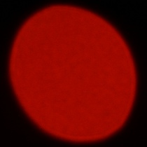 Nikon Nikkor Z 180-600 mm f/5.6-6.3 VR - Coma, astigmatism and bokeh