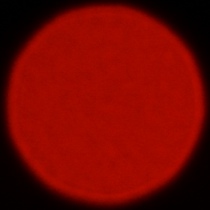 Nikon Nikkor Z 180-600 mm f/5.6-6.3 VR - Coma, astigmatism and bokeh