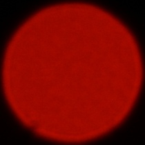 Nikon Nikkor Z 180-600 mm f/5.6-6.3 VR - Coma, astigmatism and bokeh