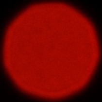 Nikon Nikkor Z 180-600 mm f/5.6-6.3 VR - Coma, astigmatism and bokeh