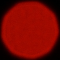 Nikon Nikkor Z 180-600 mm f/5.6-6.3 VR - Coma, astigmatism and bokeh