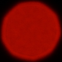 Nikon Nikkor Z 180-600 mm f/5.6-6.3 VR - Coma, astigmatism and bokeh