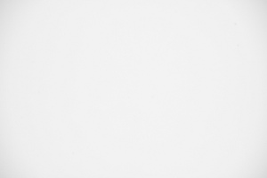 Nikon Nikkor Z 180-600 mm f/5.6-6.3 VR - Vignetting