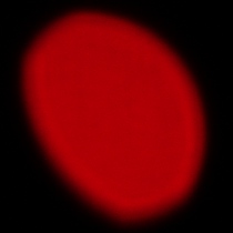 Sony FE 400-800 mm f/6.3-8 G OSS - Coma, astigmatism and bokeh