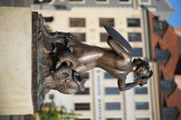 Viltrox AF 85 mm f/1.4 Pro - sample shots