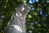 Viltrox AF 85 mm f/1.4 Pro - sample shots